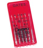 FORETS DE GATES MAILLEFER