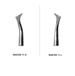 ÉLÉVATEURS WINTER 11 CARL MARTIN