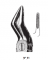 DAVIERS RACINES SUP. MARTIN